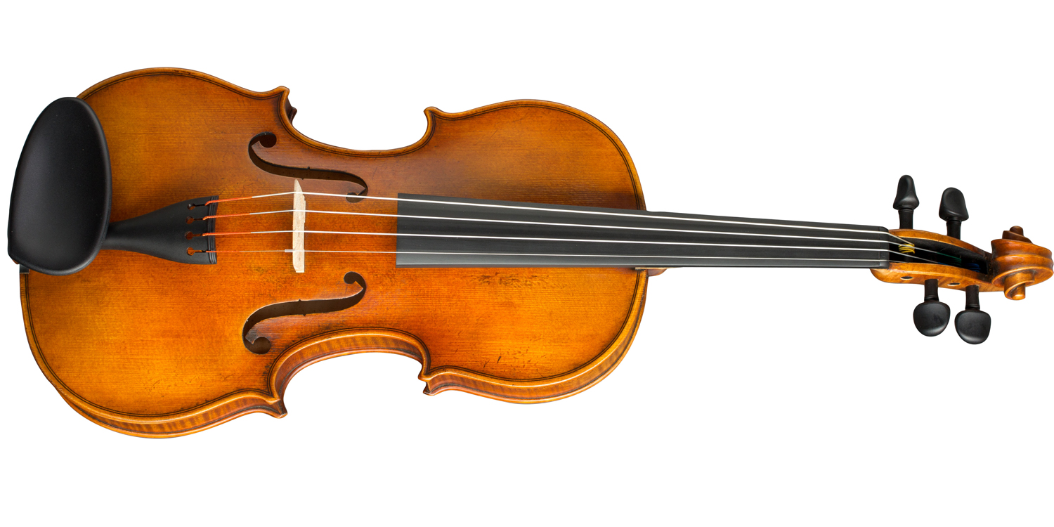 Paesold Violin PA806-GW "Green World"-2