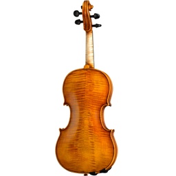 Paesold Violin PA806-GW "Green World"-3